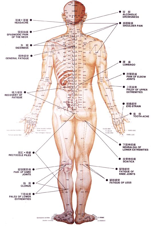 back-acupuncture-points