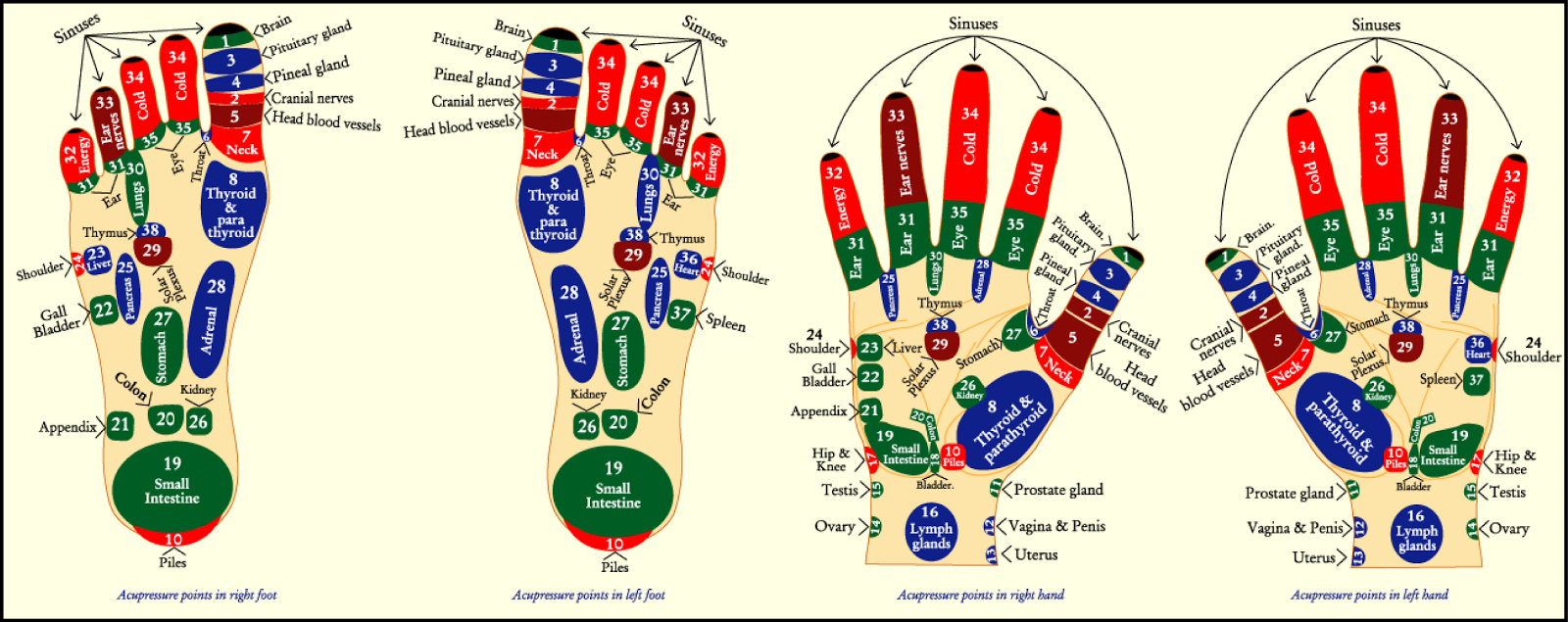 acupressure-diagram