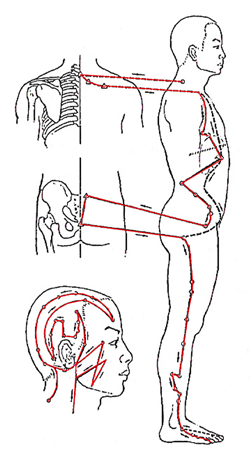 gallbladder-meridian-path