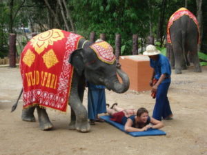 elephant massage thailand tourism