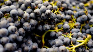 Have a glass of Pinot Noir with Earthy tasting foods.
