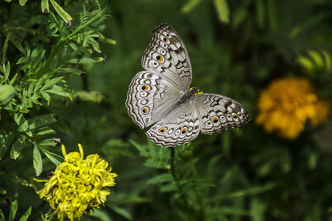 Great Teton National Park is the place to be for nature lovers