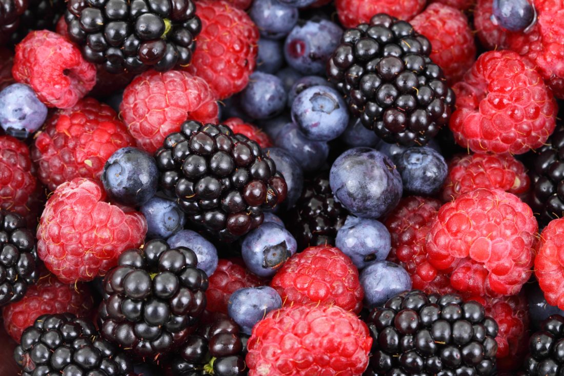 berries berry blackberries