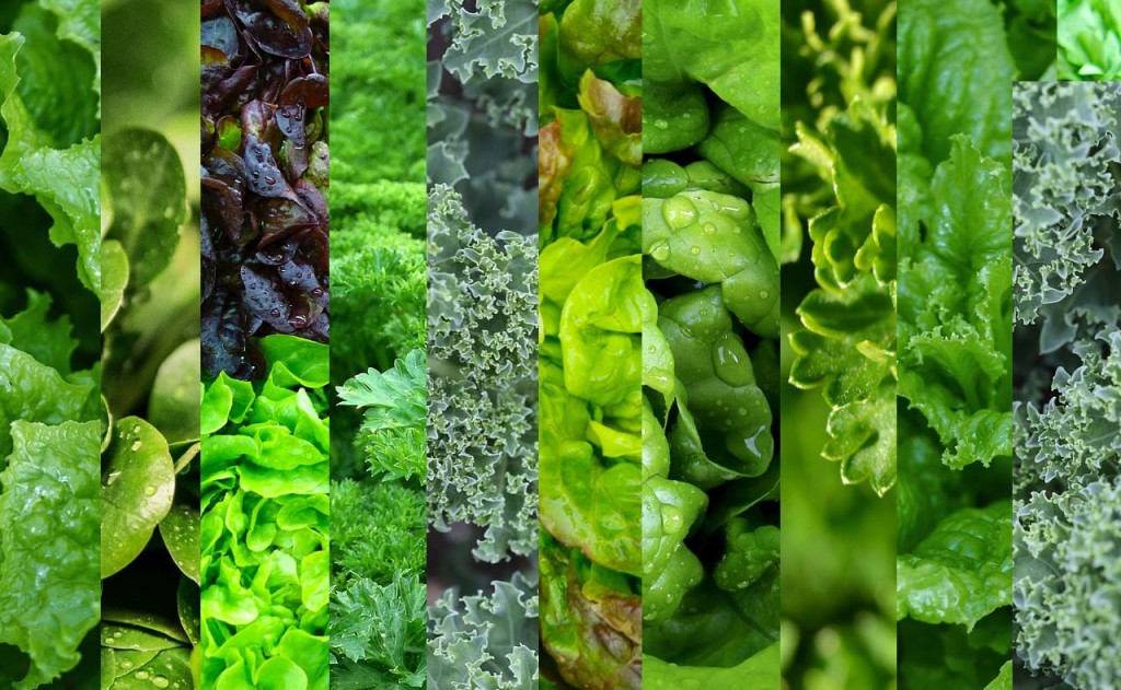 Healthy Vegetables Green