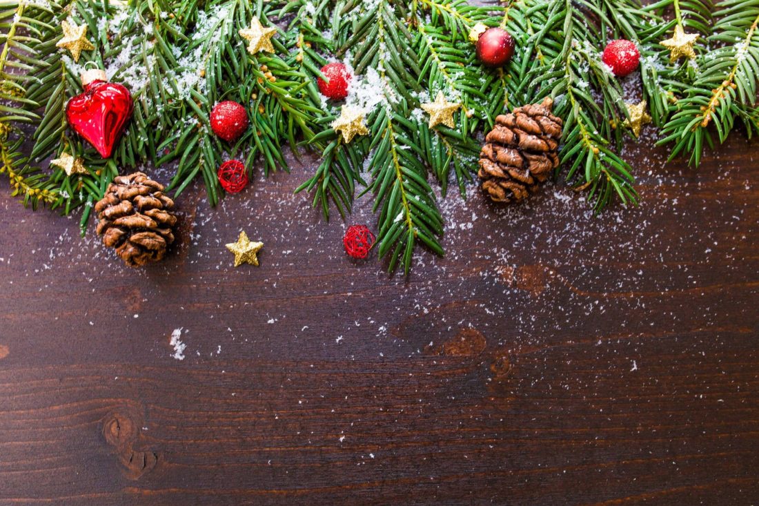 christmas decorating pine spruce juniper with pinecones